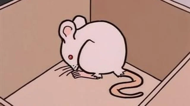 Ratones de laboratorio