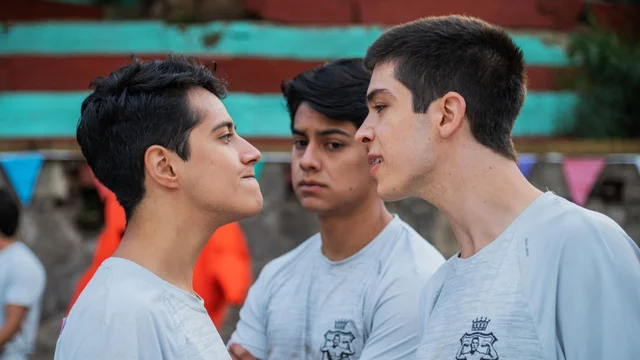 Los machos sean unidos
