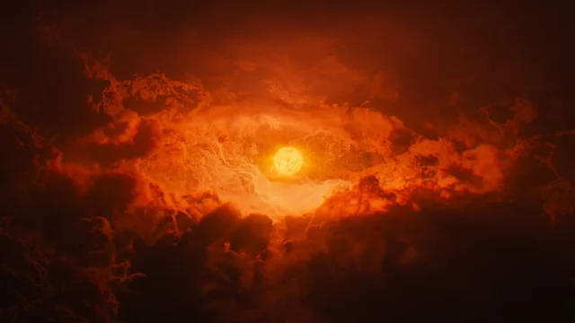 Bajo la luz del sol