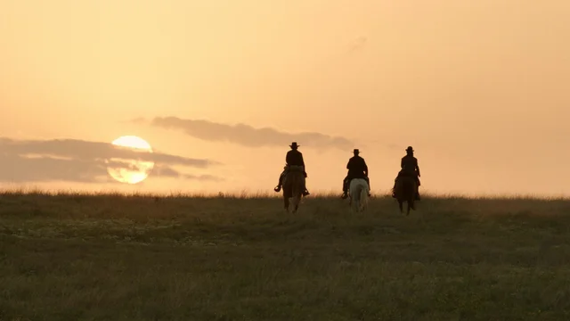Episodio 7