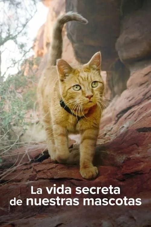 The Secret Life of Our Pets