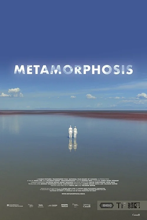 Metamorfosis