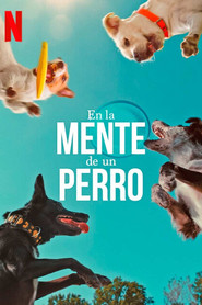 En la mente de un perro