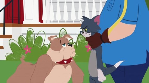 Episodio 13