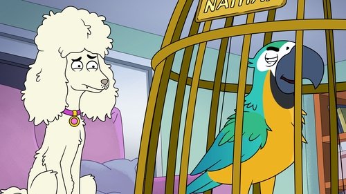 Episodio 9
