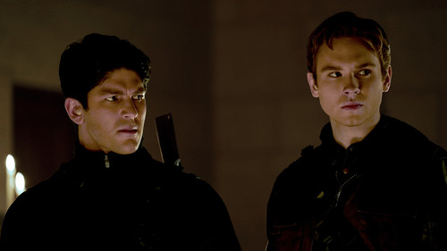 Ciudad de los Búhos