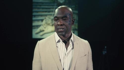 El ladrón