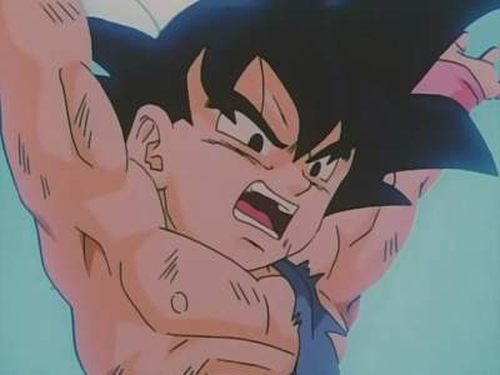 ¡Victoria gracias al milagroso contraataque! Goku pide ayuda al universo
