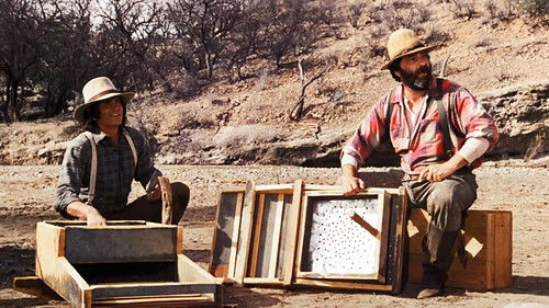 El país del Oro: Parte 1