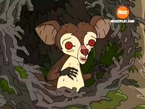 La suerte del lémur
