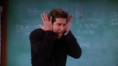 El del premio de Joey