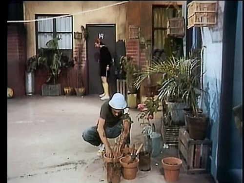 La historia de Cyrano de Bergerac. No como fue, sino como pudo haber sido / Perdonar a los enemigos