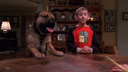 El perro de Dewey