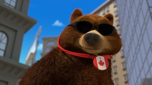El oso incansable