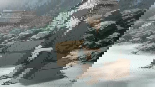 Episodio 8