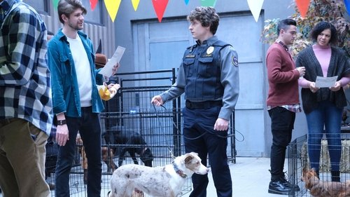 Perros y gansos