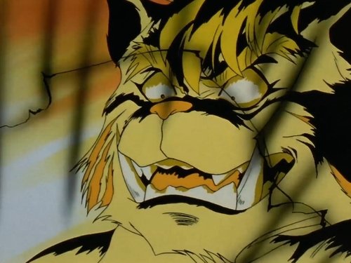 El infernal grito de guerra del tigre blanco