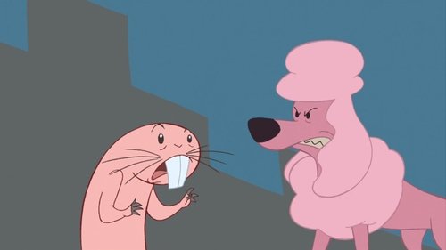Rufus vs. Commodore