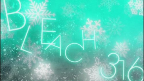 ¡Las vacaciones Toshiro Hitsugaya!