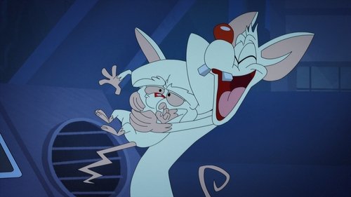 Episodio 41