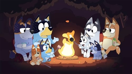 Acampada