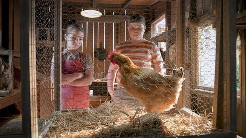 Un pollo vivo, un pollo frito y el sagrado matrimonio
