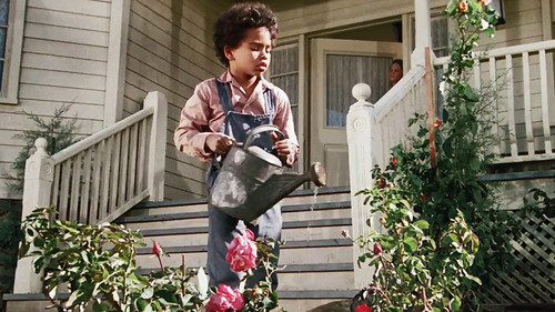 Las voces de los niños