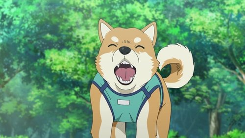 El amado perro Pan-kun es un buen chico