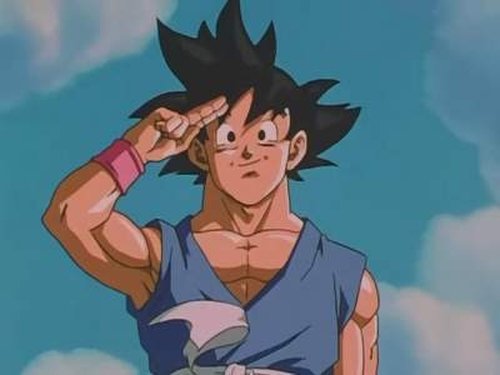 ¡Adiós Goku! Hasta que nos volvamos a encontrar