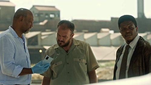 Episodio 5