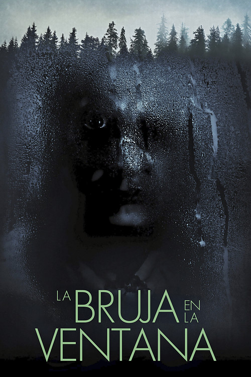 The Witch in the Window