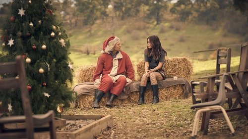 Refugio Navideño