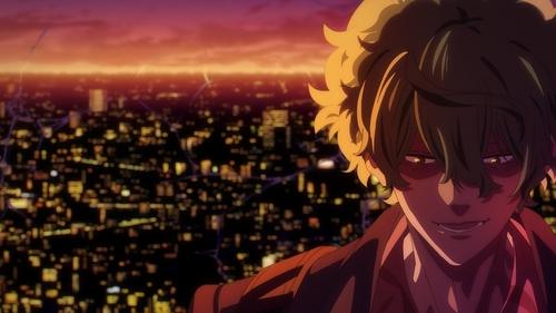 Retroceso de las Lycoris