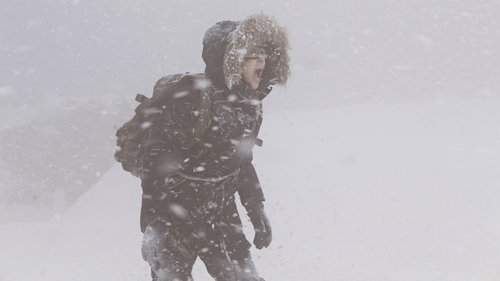 Alborismo polar