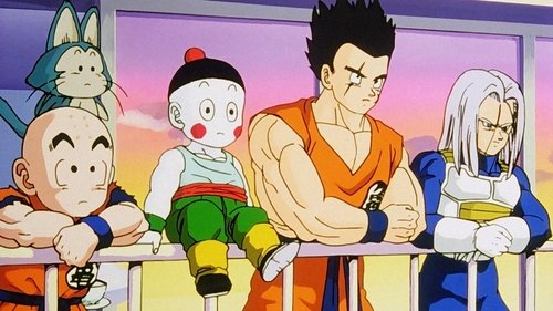 El misterioso Torneo de Artes Marciales