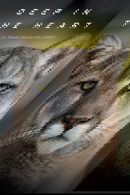 En lo profundo del corazón (Deep in the Heart: A Texas Wildlife Story)