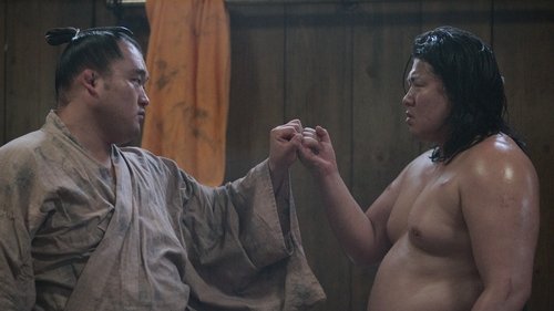Episodio 7