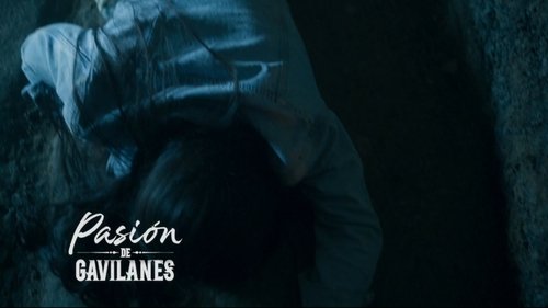 Tensiones desatadas