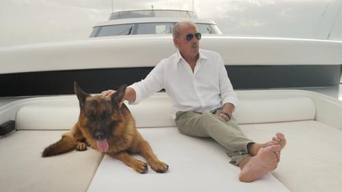 Un perro con suerte