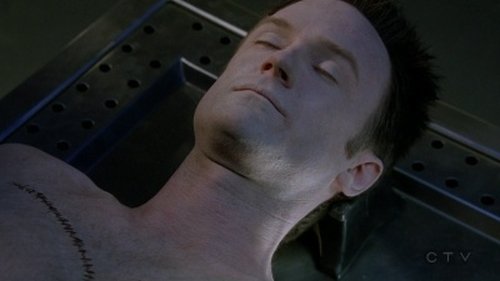 Yarsel