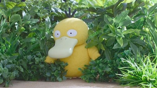 Psyduck, ¿te estás divirtiendo?
