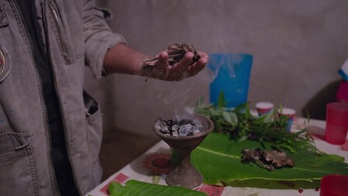 Capítulo 2: Psilocibina
