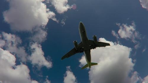 El piloto