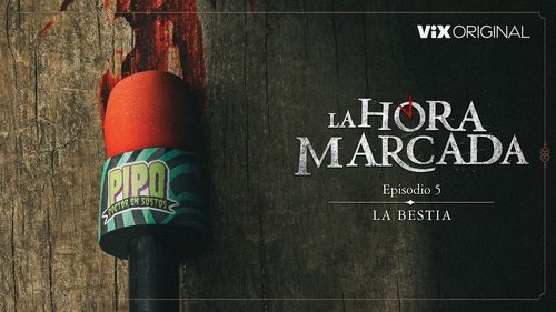 Episodio 5