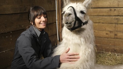 Mofetas y Llamas