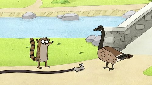 Un montón de gansos adultos