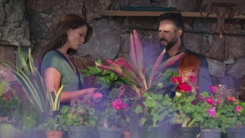 Episodio 7
