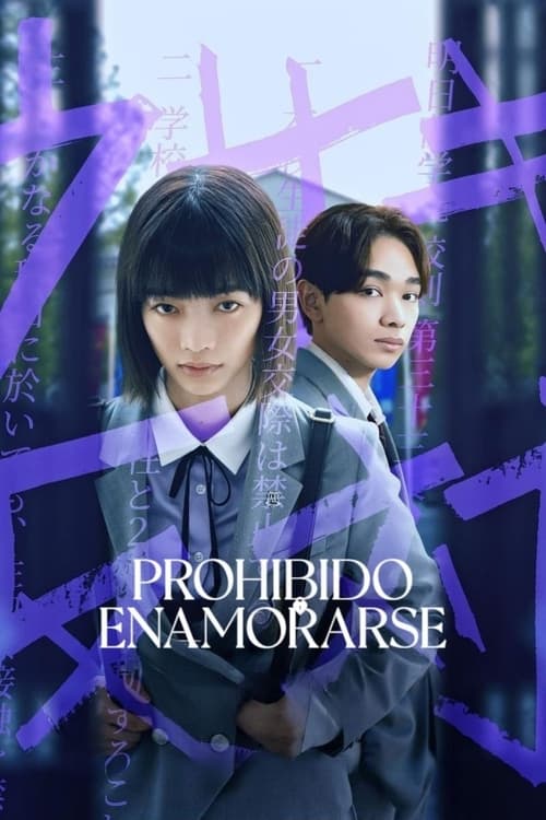 Prohibido enamorarse